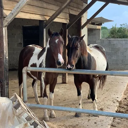 Natura 6 아파트 *